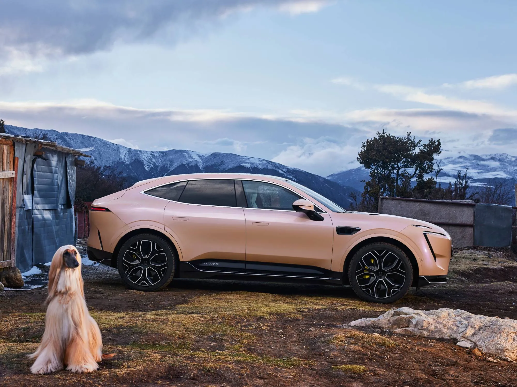 6 950 000 ₽ — за столько будут продавать «белые» Avatr 11