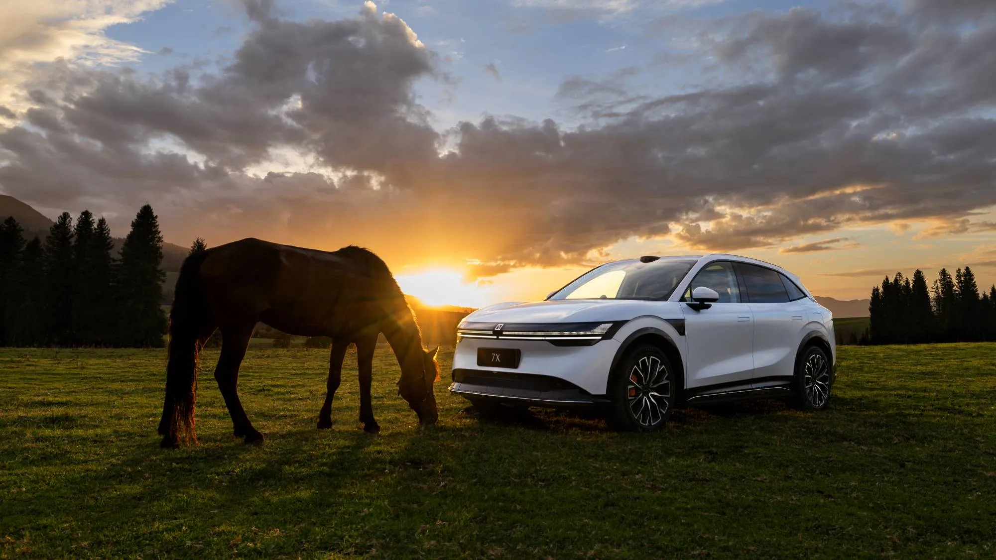 Какие электрокары заряжаются быстрее: составлен список из 26 машин