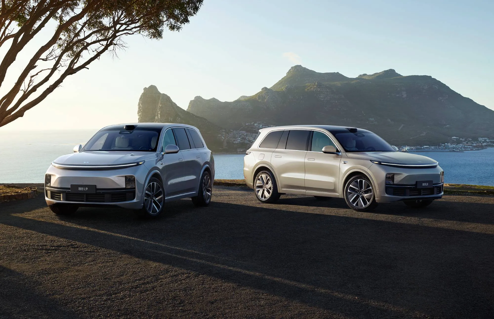 Дистрибьютор раскрыл стоимость «официальных» кроссоверов Lixiang (спойлер: очень дорого)