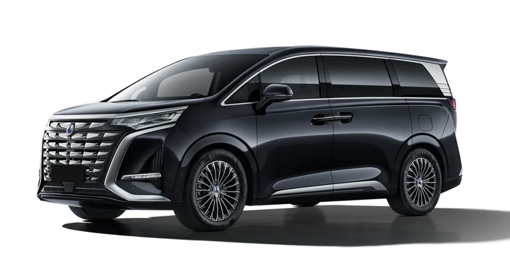 Denza D9